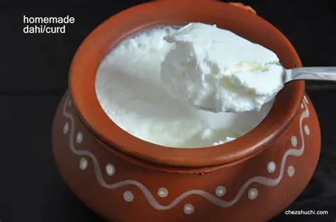 Fresh Curd